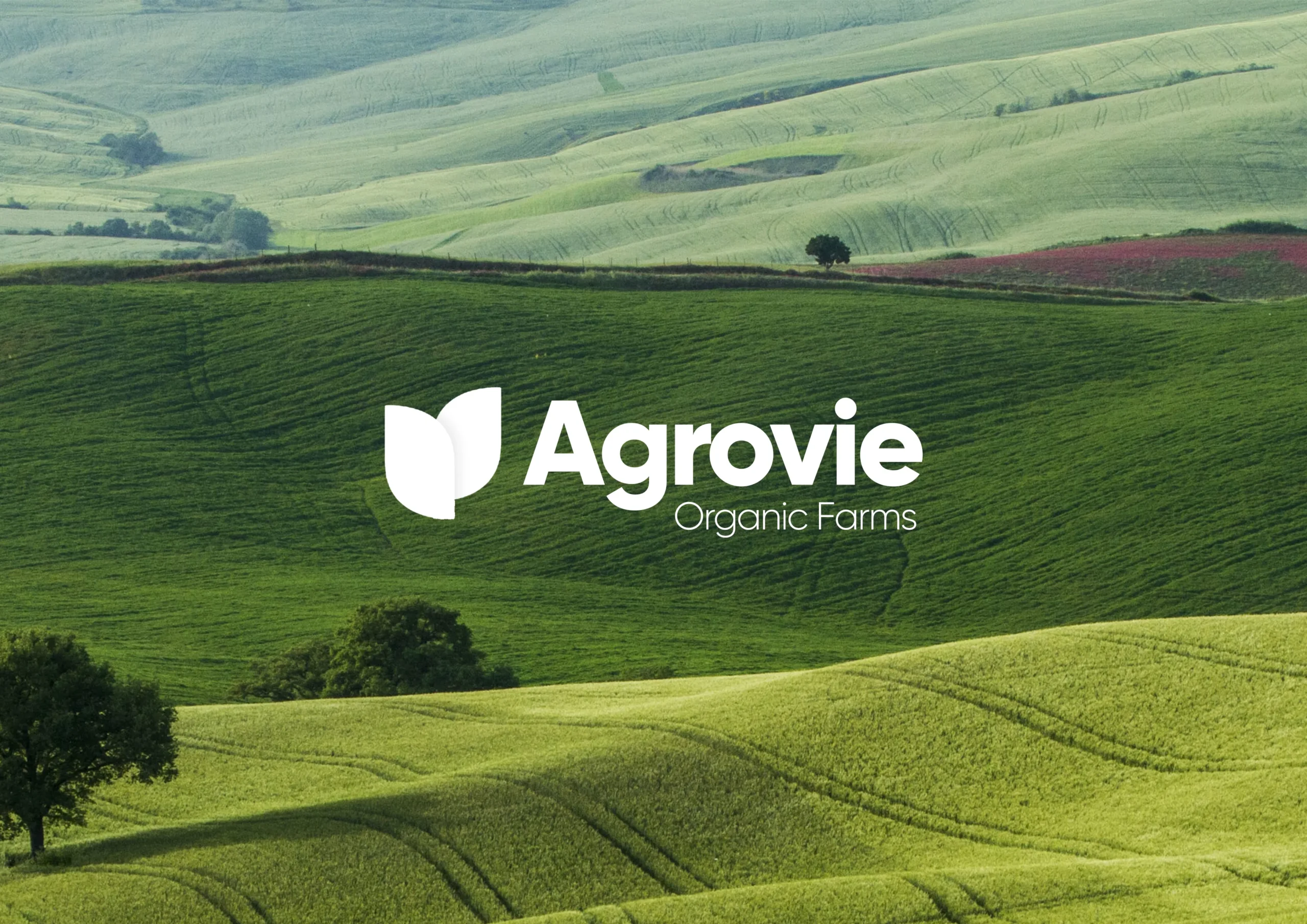 Agrovie-1